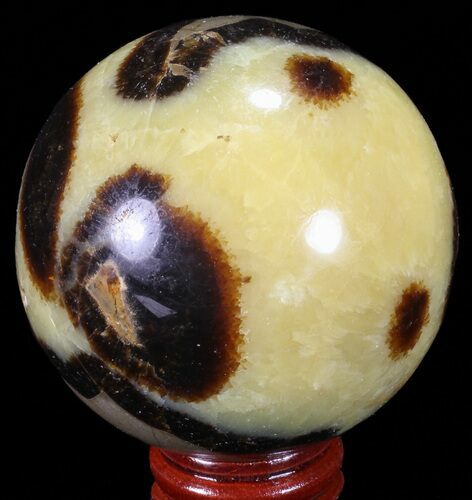 Polished Septarian Sphere - Madagascar #67857